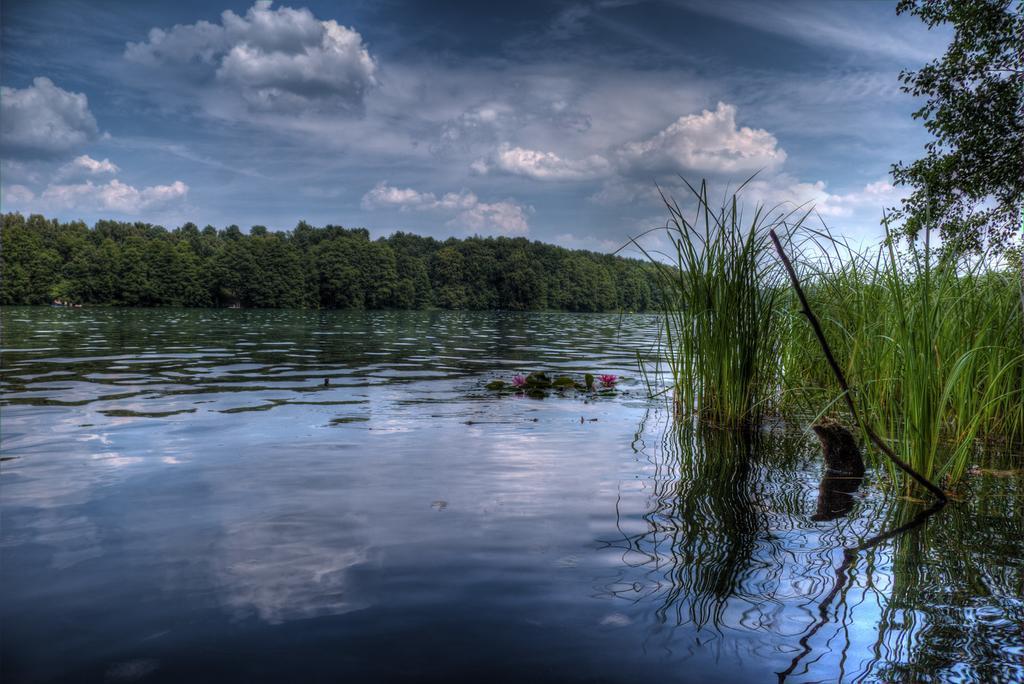 Hotel Am Liepnitzsee Wandlitz Bagian luar foto
