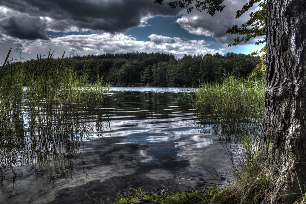 Hotel Am Liepnitzsee Wandlitz Bagian luar foto