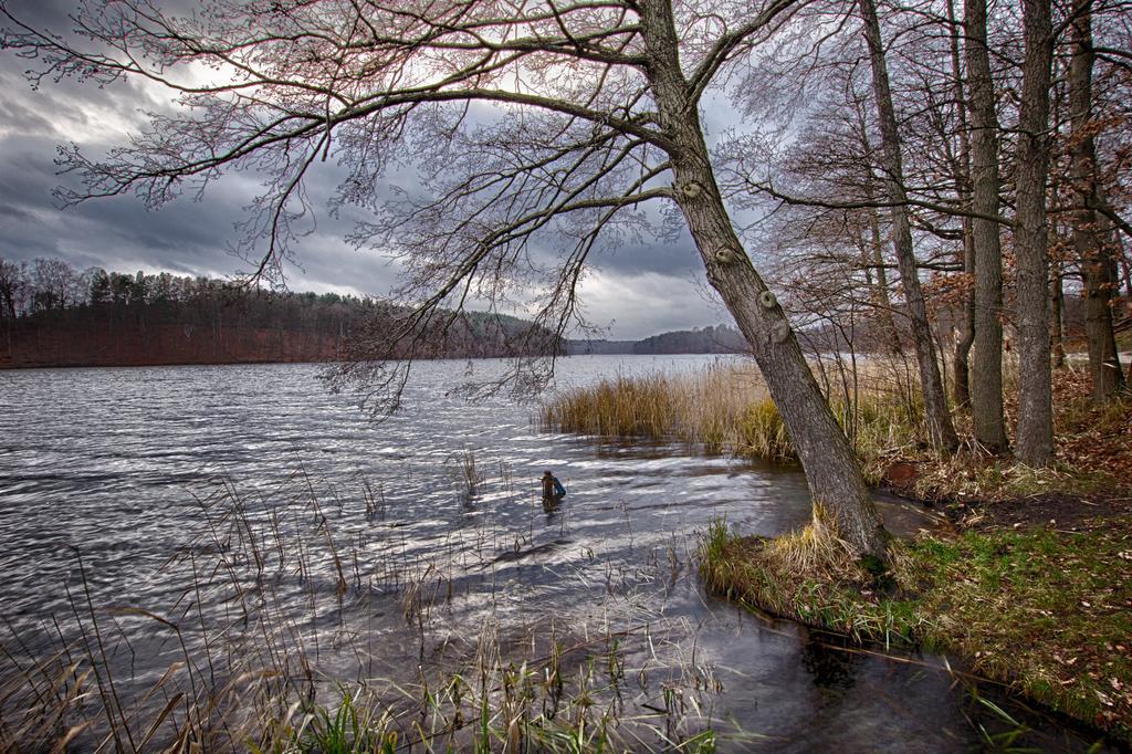 Hotel Am Liepnitzsee Wandlitz Bagian luar foto
