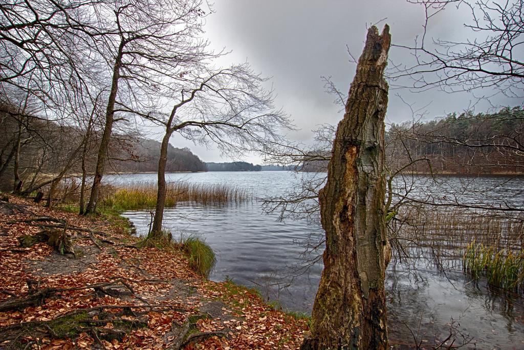 Hotel Am Liepnitzsee Wandlitz Bagian luar foto