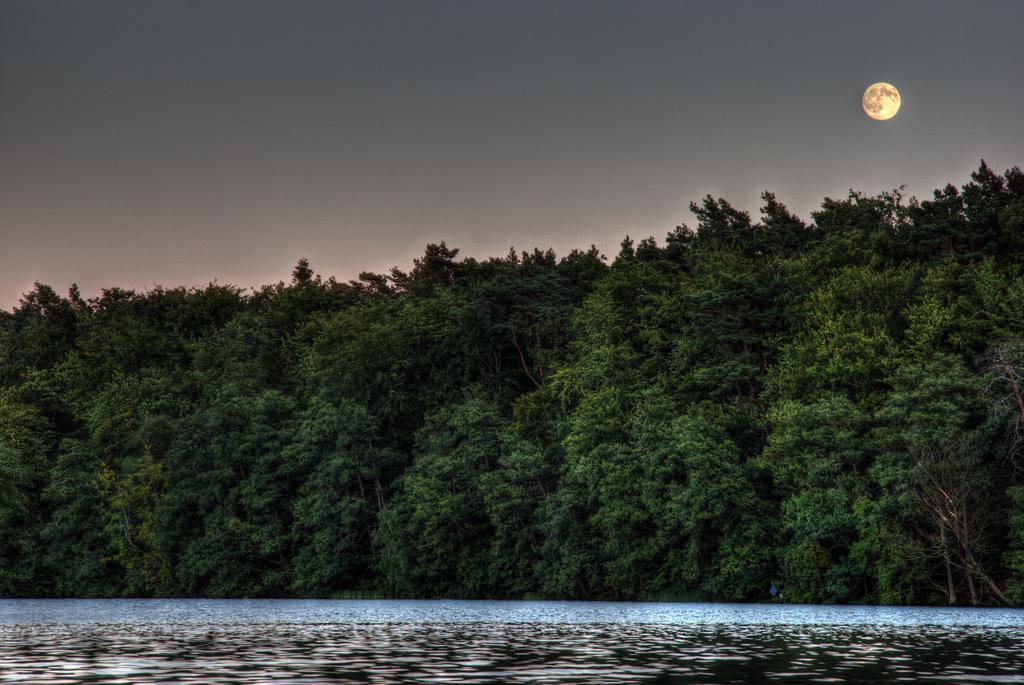 Hotel Am Liepnitzsee Wandlitz Bagian luar foto