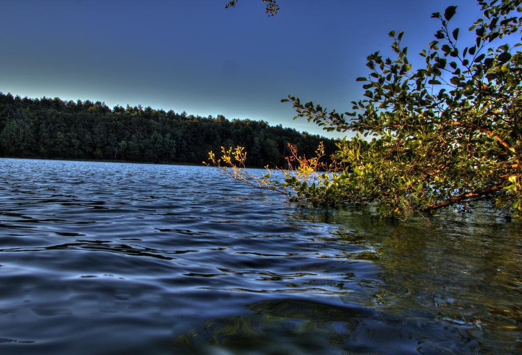 Hotel Am Liepnitzsee Wandlitz Bagian luar foto