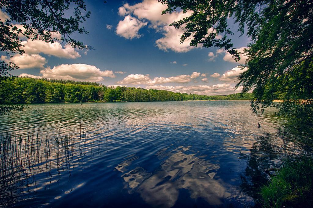 Hotel Am Liepnitzsee Wandlitz Bagian luar foto