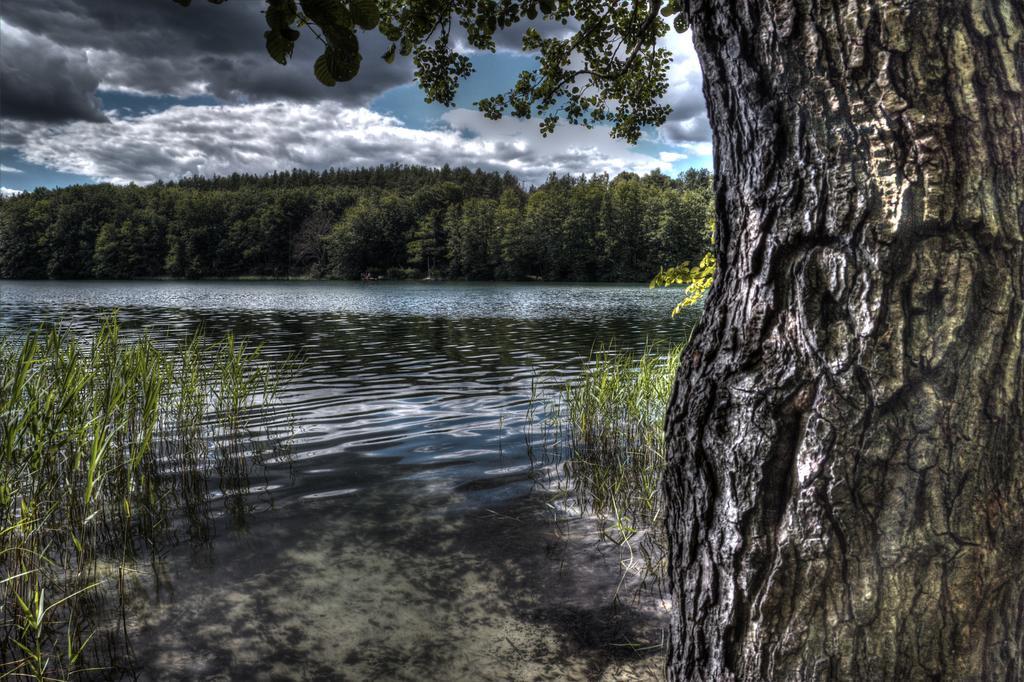 Hotel Am Liepnitzsee Wandlitz Bagian luar foto